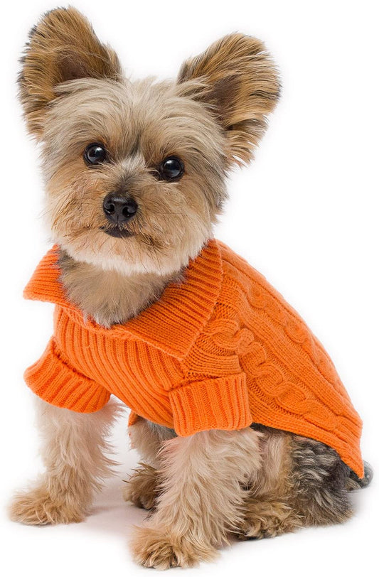Dog Aran Sweater